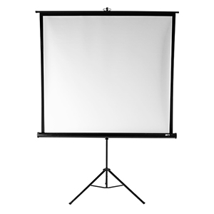 Elite 85" Projection Screen