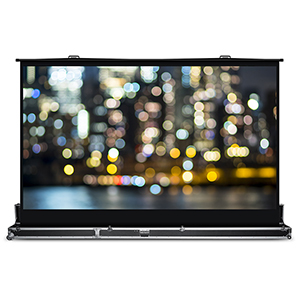 Quickstand 180" Projection Screen